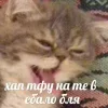 Стикер 21 Котнота