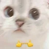 Стикер 57 Котнота