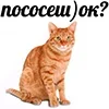 Стикер 5 Котнота