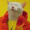 Стикер 4 Котнота