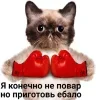 Стикер 24 Котнота