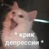 Стикер 18 Котнота