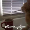 Стикер 7 Котнота