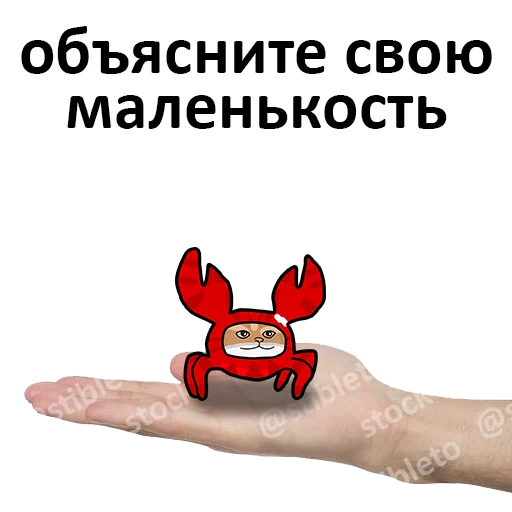 👌 Стикер «Котокрабыш» для Telegram