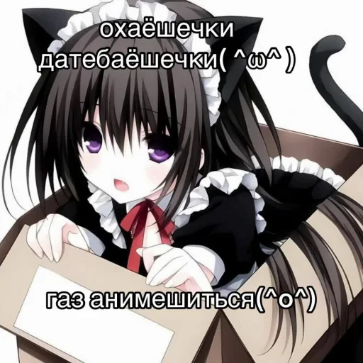 🤩 Стикер «Котокролик» для Telegram