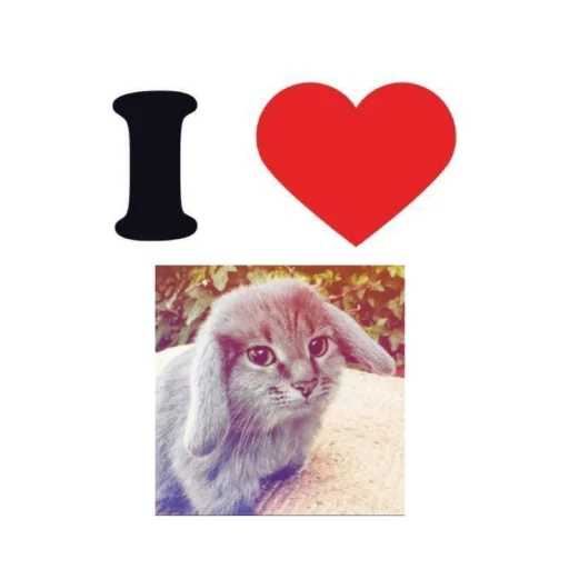 🤩 Стикер «Котокролик» для Telegram