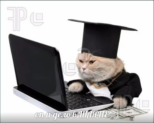 💸 Стикер «memy pró kotov (po rzhatí)» для Telegram