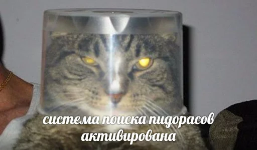 😈 Стикер «memy pró kotov (po rzhatí)» для Telegram