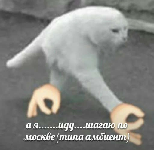 🎉 Стикер «memy pró kotov (po rzhatí)» для Telegram