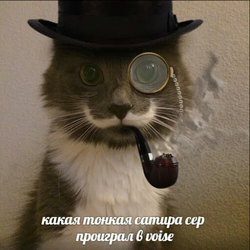 😅 Стикер «memy pró kotov (po rzhatí)» для Telegram
