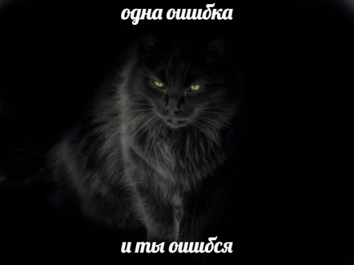 😌 Стикер «memy pró kotov (po rzhatí)» для Telegram
