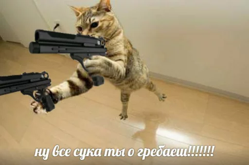 💥 Стикер «memy pró kotov (po rzhatí)» для Telegram