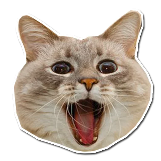 Стикерпак Котончик для Telegram