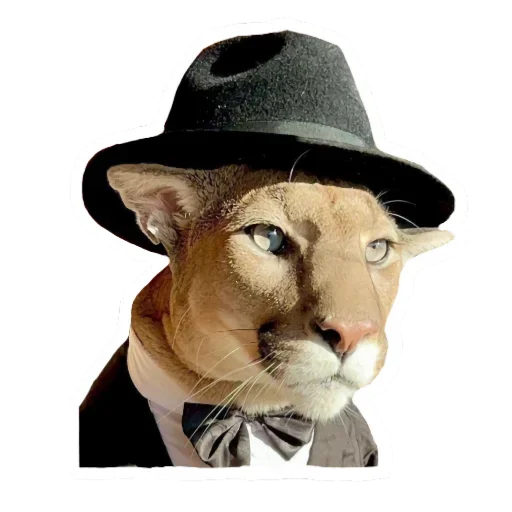 😉 Стикер «Мемная Пума» для Telegram