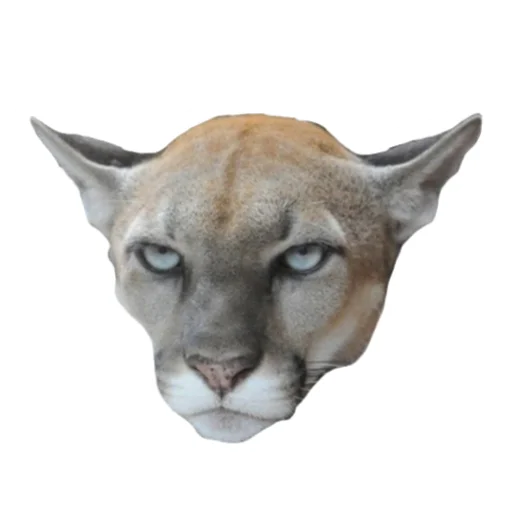 🐱 Стикер «Мемная Пума» для Telegram