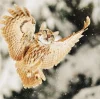🤩 Эмодзи «Котосовы» для Telegram
