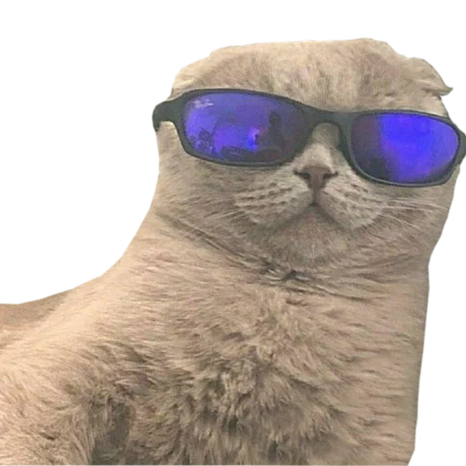 😎 Стикер «PupesPack» для Telegram