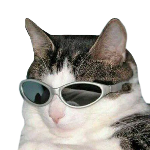 😎 Стикер «PupesPack» для Telegram