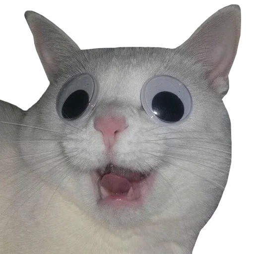 😜 Стикер «PupesPack» для Telegram