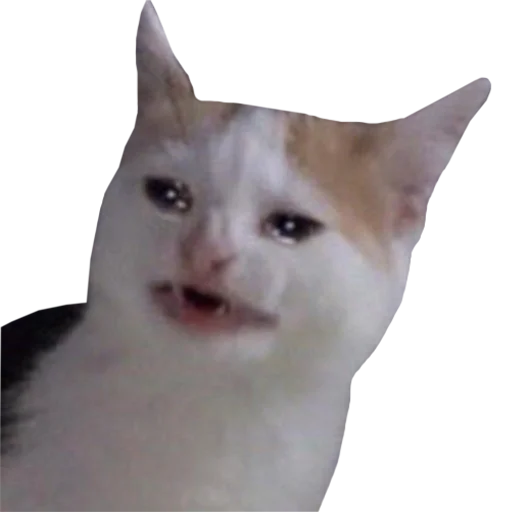 😭 Стикер «PupesPack» для Telegram