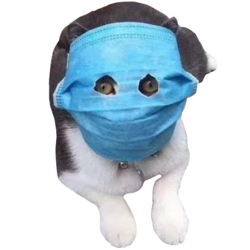 😷 Стикер «PupesPack» для Telegram