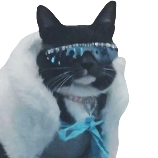 😎 Стикер «PupesPack» для Telegram