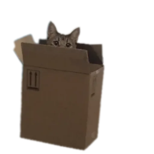 🟩 Стикер «Котские коты» для Telegram
