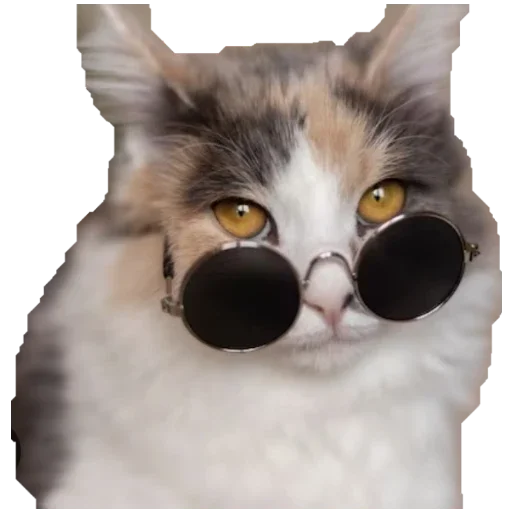 ❤️ Стикер «Коты ъеъ» для Telegram