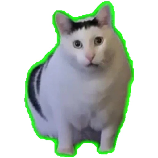 💯 Стикер «Коты ъеъ» для Telegram
