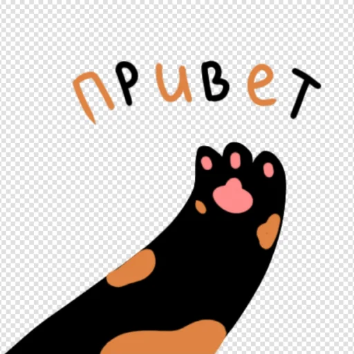 👋 Стикер «Коть» для Telegram