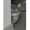 Стикер 49 👀 коты