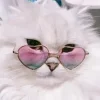 Стикер 23 👀 коты
