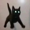 Стикер 38 👀 коты