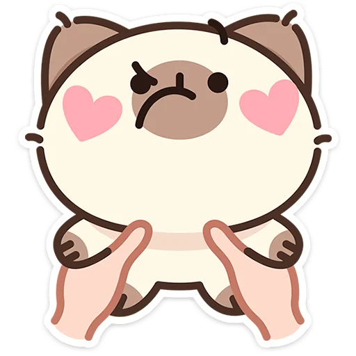 🐱 Стикер «Котя» для Telegram