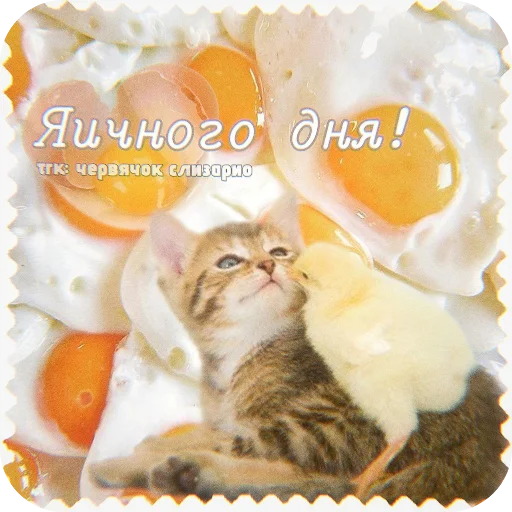 👍 Стикер «Котячие открытки» для Telegram