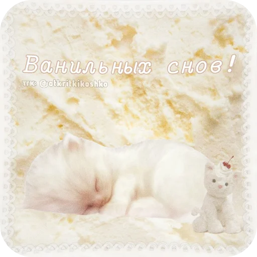 🤲 Стикер «Котячие открытки» для Telegram