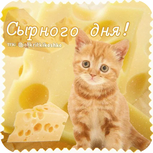 🐱 Стикер «Котячие открытки» для Telegram