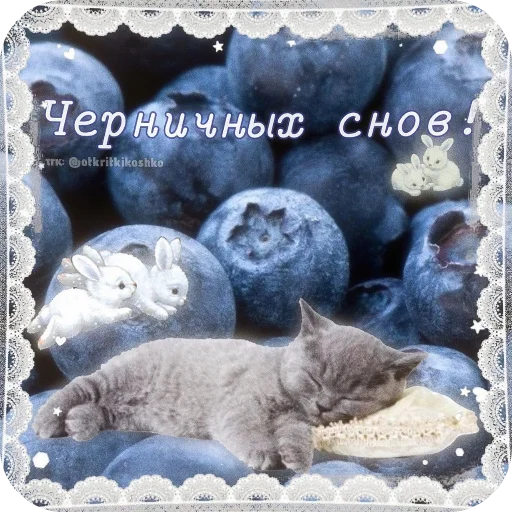 Стикерпак Котячие открытки для Telegram