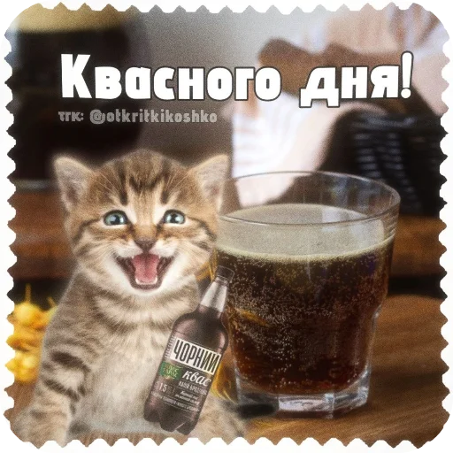 🐱 Стикер «Котячие открытки» для Telegram