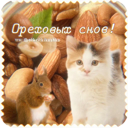 🐱 Стикер «Котячие открытки» для Telegram