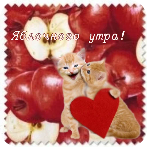 🐱 Стикер «Котячие открытки» для Telegram