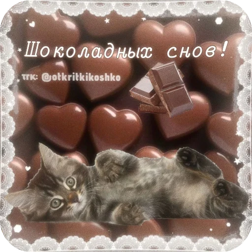 🐱 Стикер «Котячие открытки» для Telegram