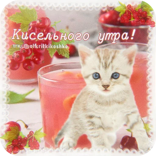 👍 Стикер «Котячие открытки» для Telegram