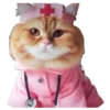 🐱 Эмодзи «Кошачий подвал пиявки» для Telegram