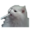🐱 Эмодзи «Кошачий подвал пиявки» для Telegram