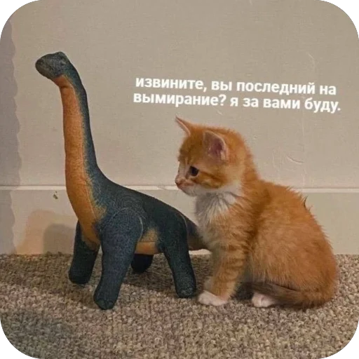 🦕 Стикер «котячьи пикчи» для Telegram