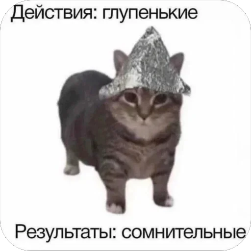 🤪 Стикер «котячьи пикчи» для Telegram