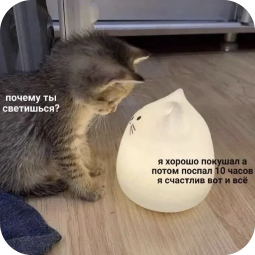 🔥 Стикер «котячьи пикчи» для Telegram