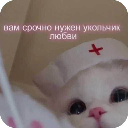💉 Стикер «котячьи пикчи» для Telegram
