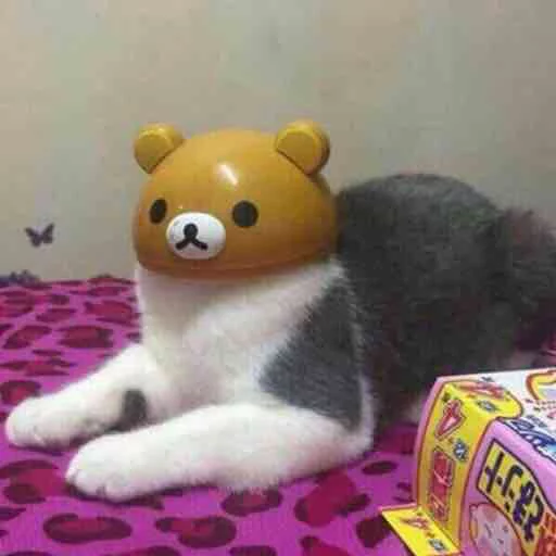 🐻 Стикер «Kotya kot» для Telegram